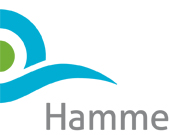 hamme logo copy