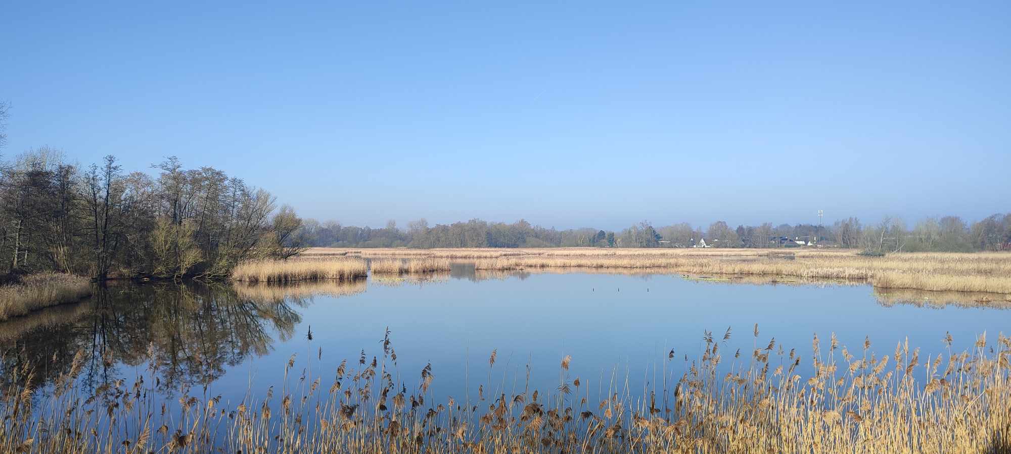Foto Molsbroek