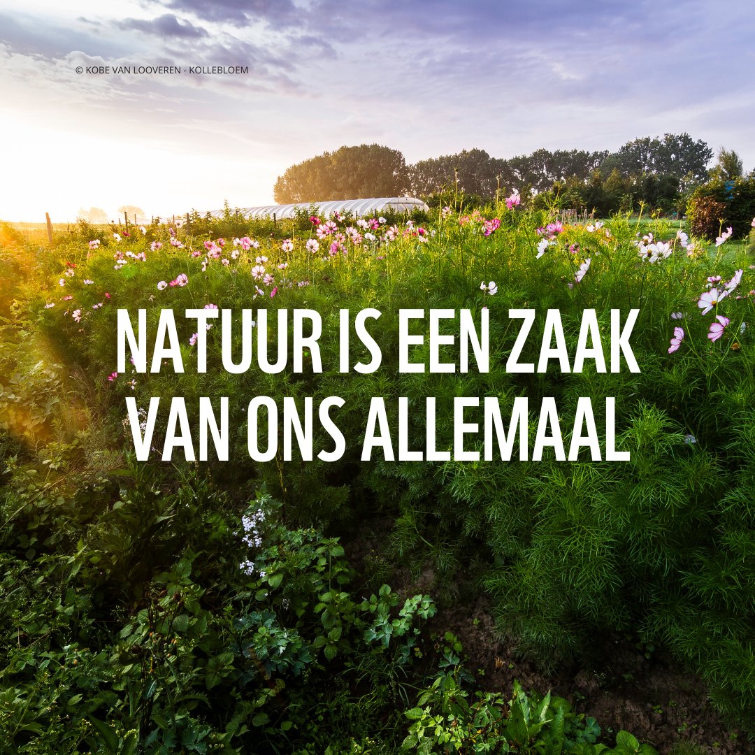 IG square natuur open brief natuur verkleind