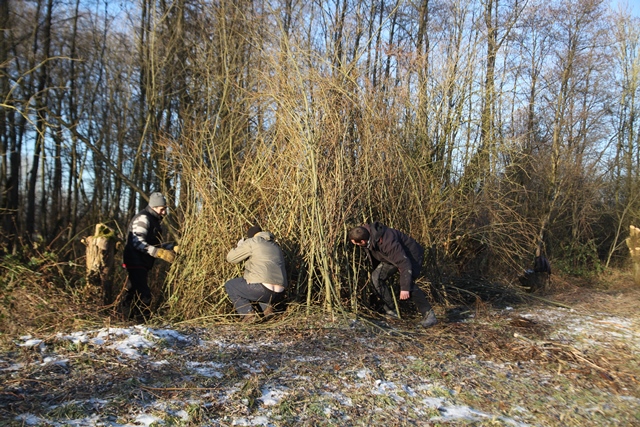 werkdag boommarter 002