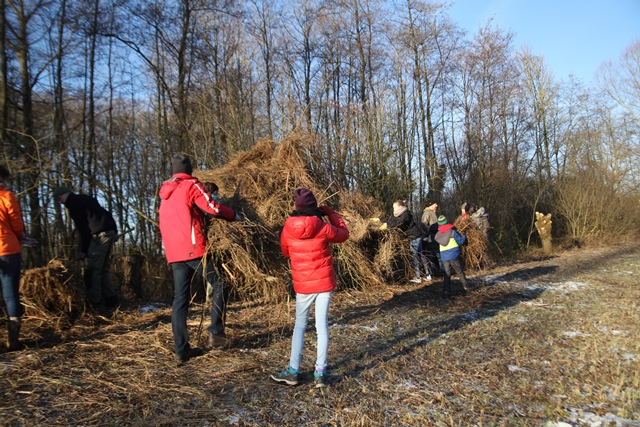 werkdag boommarter 014