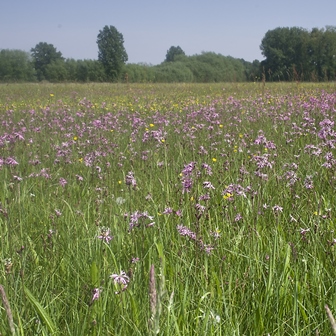 AankoopScheldebroeken EC