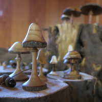 houten paddenstoel