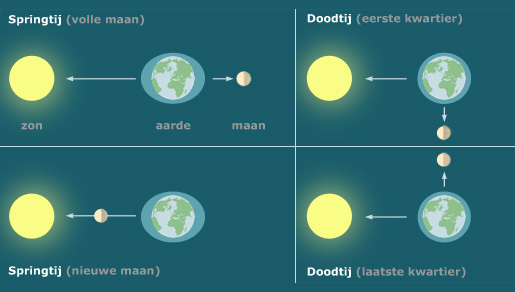 springtij doodtij int ned