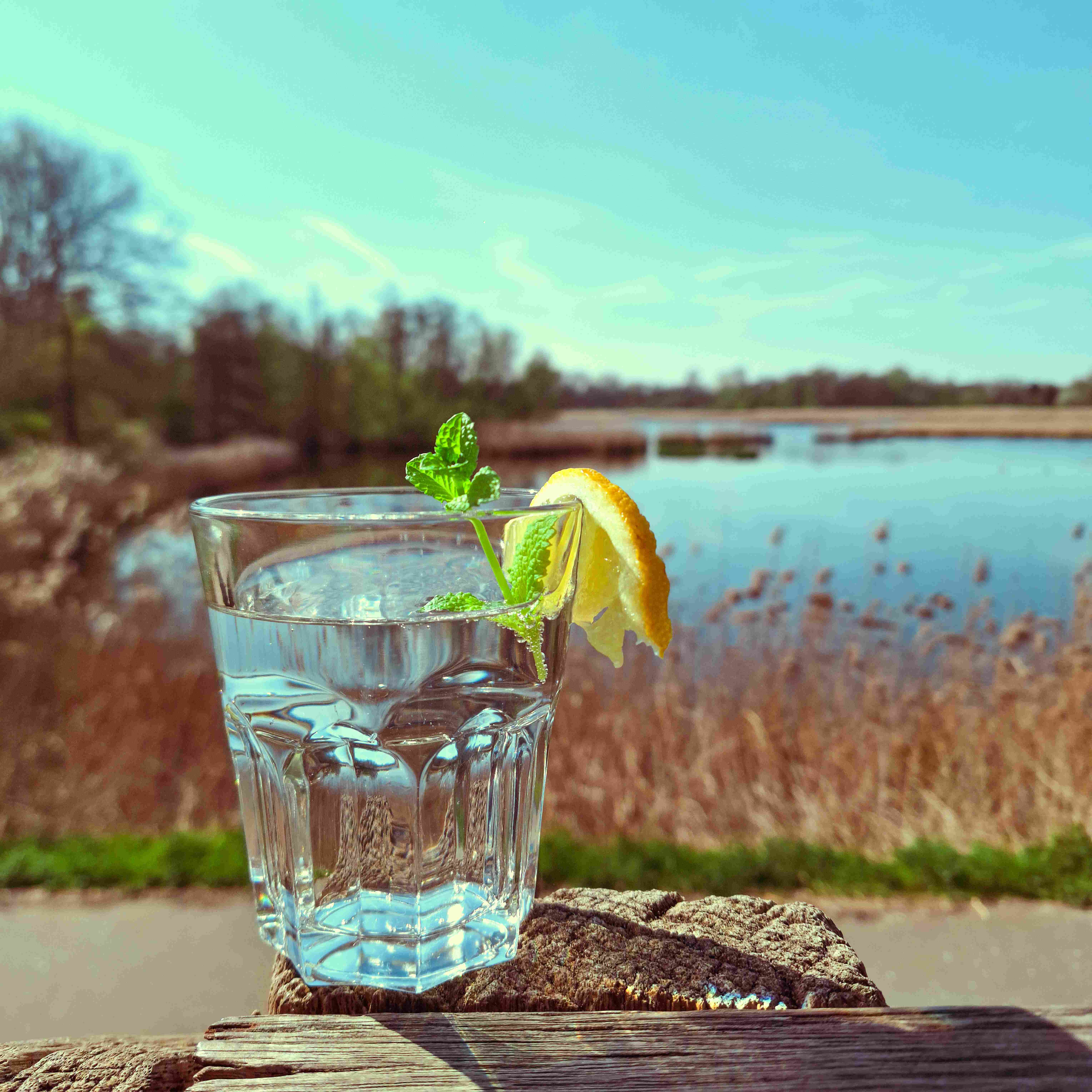 Vlierbloesemlimonade