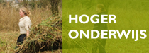 hoger