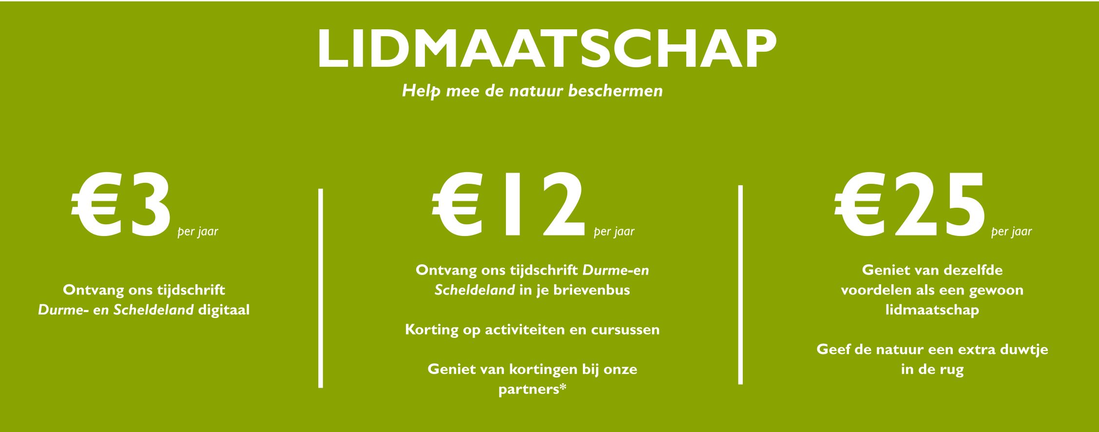 lidmaatschap Opmaak 111