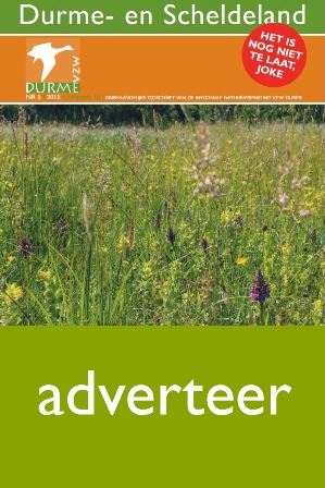 adverteer