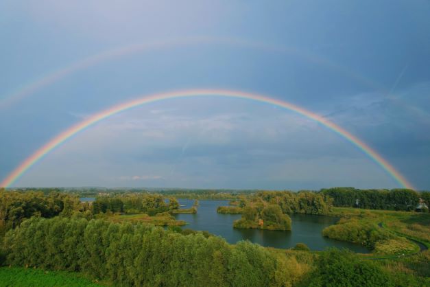 regenboog hamputten jan geerts