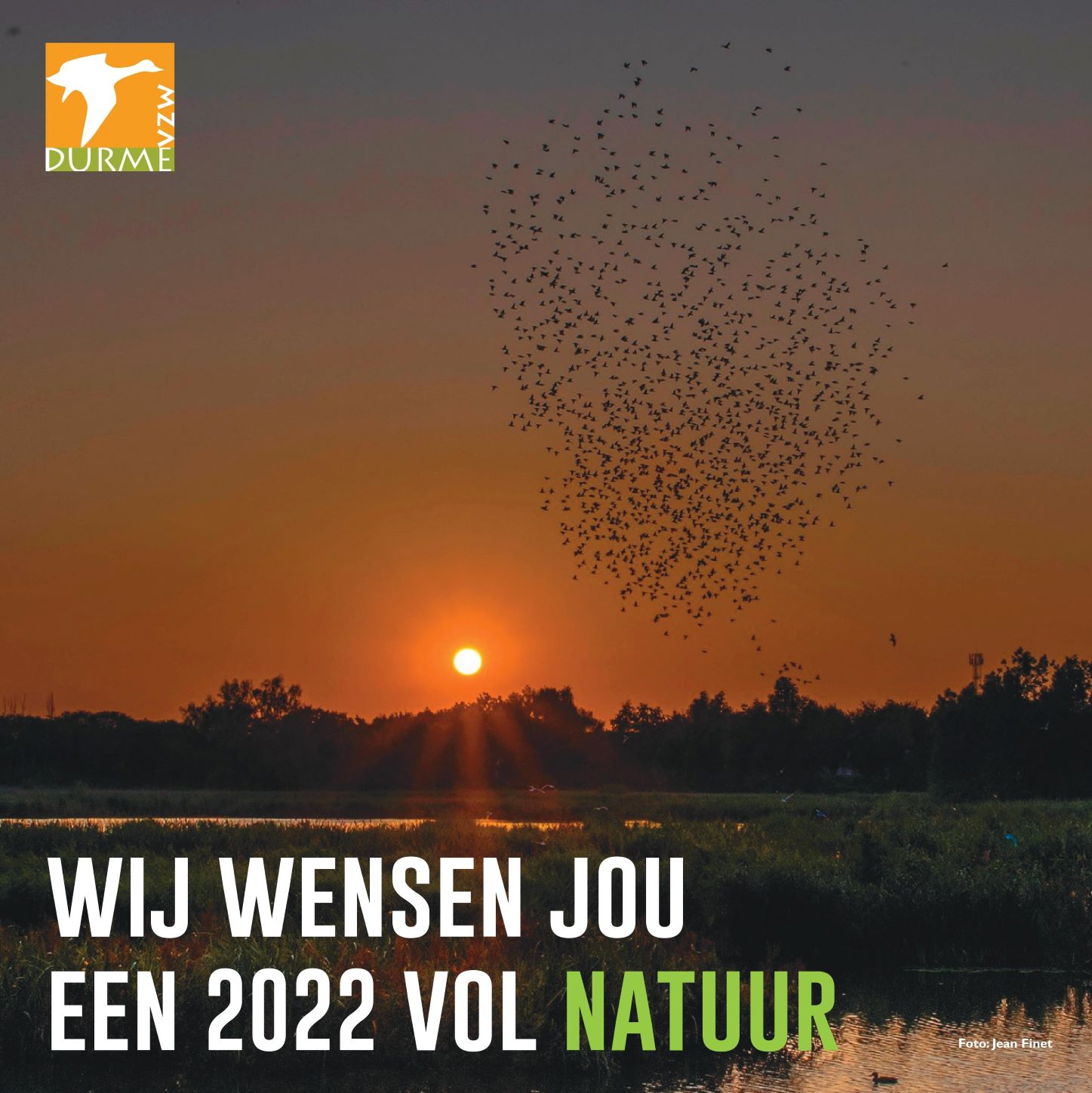 wensen 2022 PNGsite